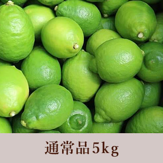 田坂農園 レモン 5kg
