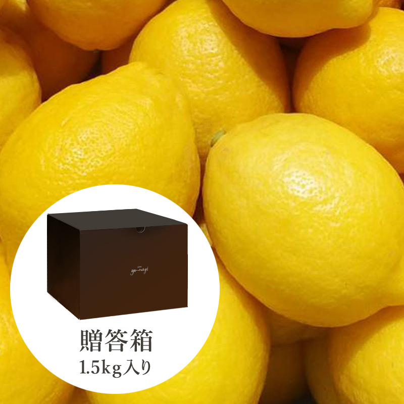 田坂農園 特別栽培レモン 1kg 贈答箱入り イメージ