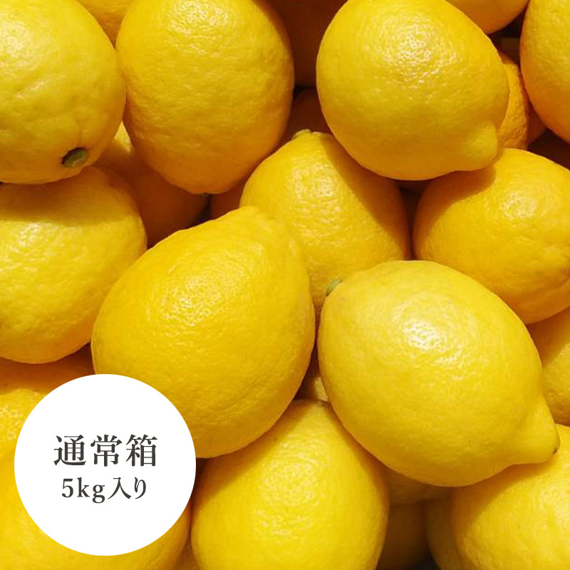 田坂農園 特別栽培レモン 5kg 通常箱入り イメージ
