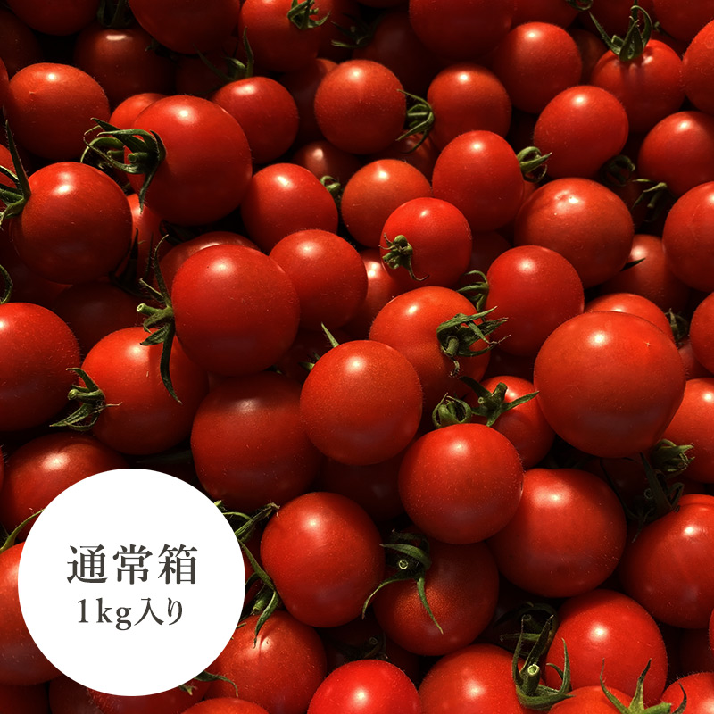 プレミアムフルティカトマト 家庭用1.5kg イメージ
